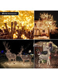 LED Fairy String Lights