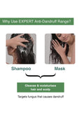 BARE ANATOMY Bare Anatomy Anti Dandruff Shampoo | Reduces Up to 100% Dandruff and Strengthens Hair | Derma Approved Shampoo with Salicylic Acid & Biotin | Shampoo For All Hair types | For Women And Men | 250ml