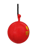 DSC Hanging Synthetic Cricket Ball | Rubber | Suitable for Practice Game | Solid inner core | Weatherproof | Training | Lightweight