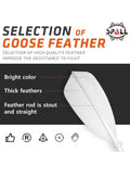 Spall 12 Pack Badminton Birdies Shuttlecocks, Badminton Goose Feather Stable Durable High Speed Training Badminton Balls for Indoor & Outdoor Practice Sports Training Activities